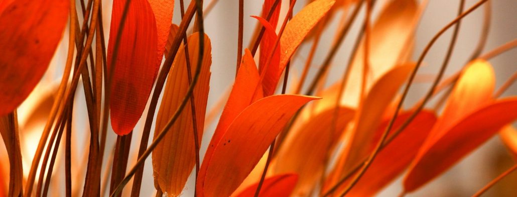 El significado de las flores y plantas en los homenajes